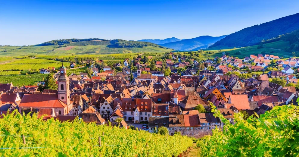 Location gîte Riquewihr Alsace